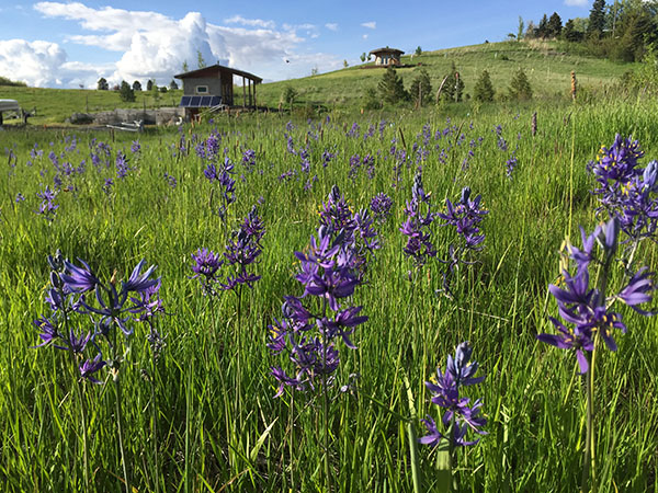 Our AmeriCorps Program - Palouse-Clearwater Environmental Institute