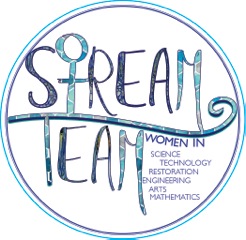 Stream-Team-Circle-Logo-Clear